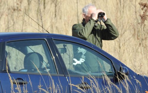 Birdwatcher nebo chobotnice