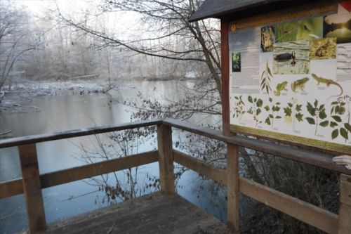 Zveme na komentovan&eacute; vych&aacute;zky ke Světov&eacute;mu dni mokřadů. Pojďte s ornitology do př&iacute;rody za pt&aacute;ky!