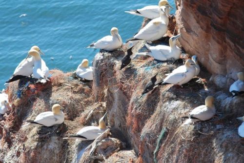 Helgoland - 3. část