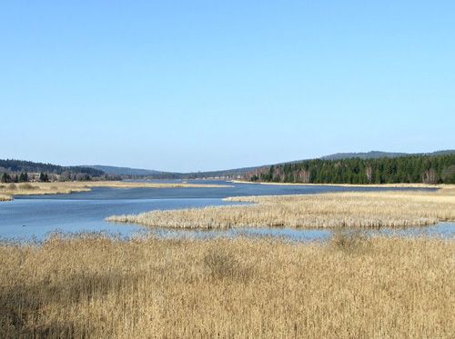 Hořejší padrťský rybník - Brdy