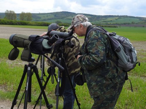 Soutěžní birdwatching - od úsměvné po extrémní formu pozorování ptáků